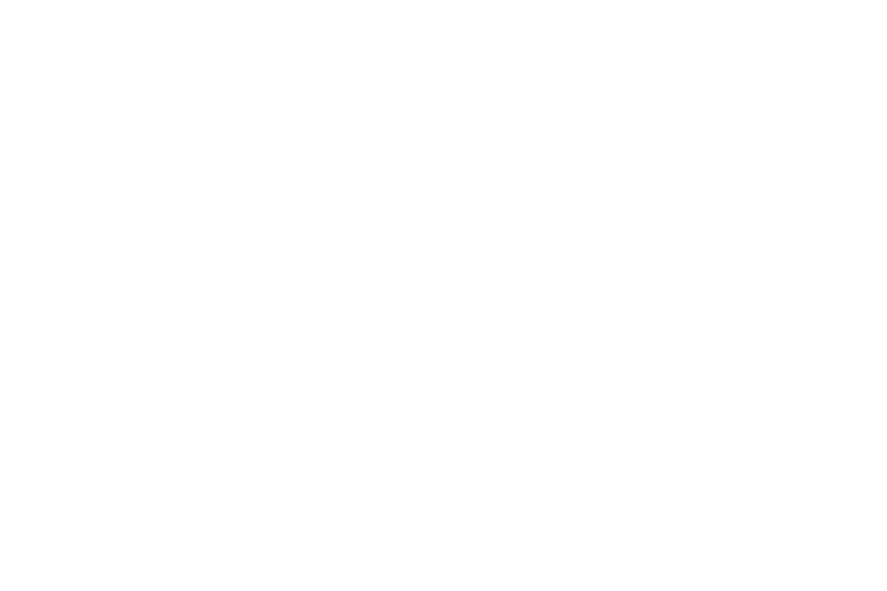 IATA - International Air Transport Association